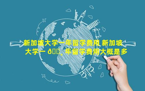 新加坡大学一年留学费用 新加坡大学一 🌸 年留学费用大概是多少